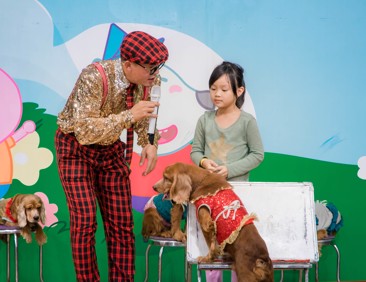 Cùng Wolfoo City gặp gỡ những khách mời bí mật